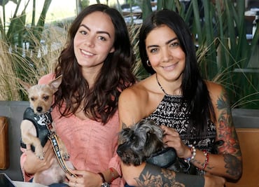 Recaudan fondos para rescatar perros abandonados