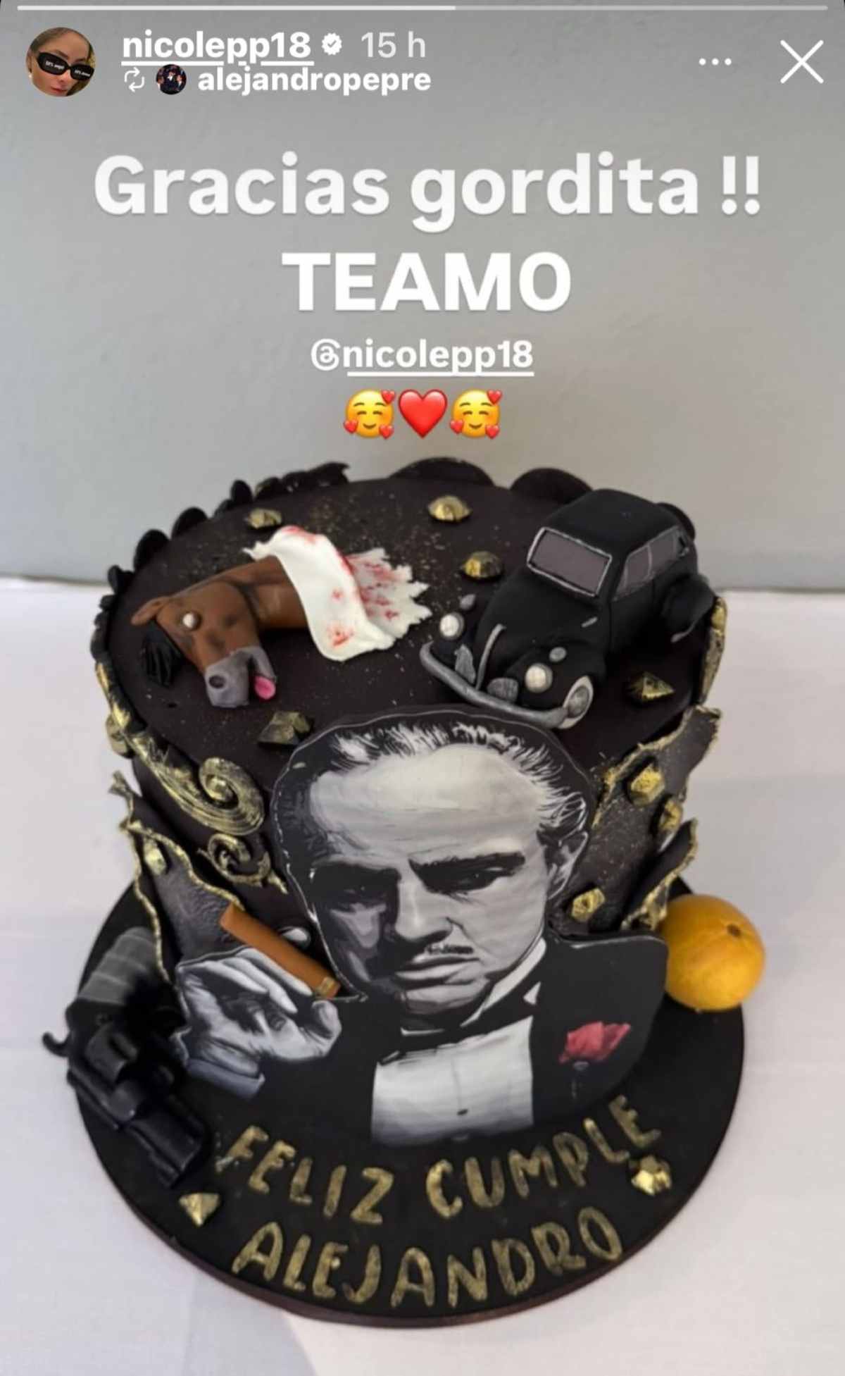 Así celebró su cumpleaños Alejandro Peña Pretelini / Foto: Instagram