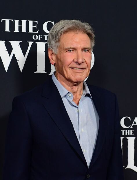 Investigan a Harrison Ford por otro incidente al pilotar su avioneta