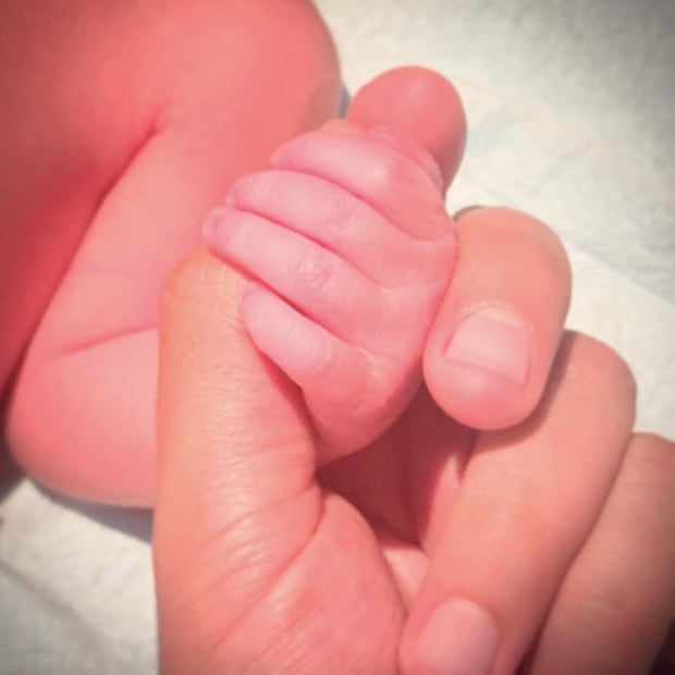 Manolo Caro anuncia que se convirtió en papá / Foto: Instagram