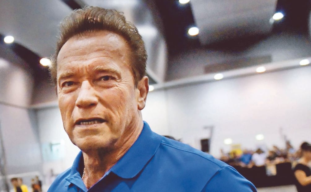 Arnold Schwarzenegger / Foto: EFE
