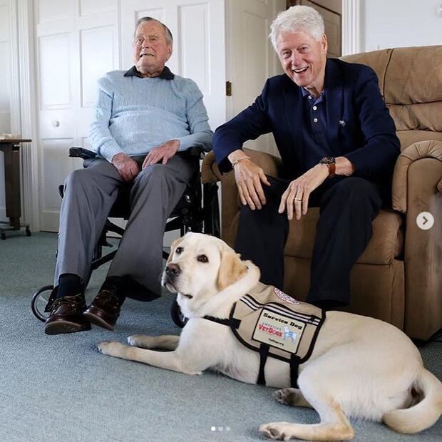 El tierno perro de George H. W. Bush que no se despega de su ataúd
