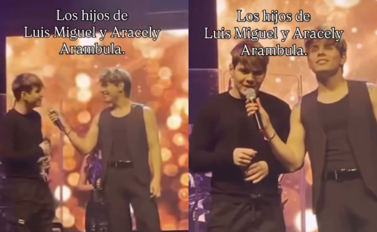 Los supuestos hijos de Luis Miguel y Aracely Arámbula / Foto: Especial