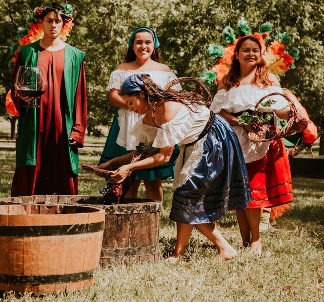 5 fiestas de la vendimia imperdibles para amantes del vino