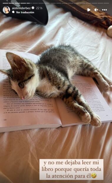 La nueva mascota de Aislinn Derbez / Instagram: @Aislinn Derbez