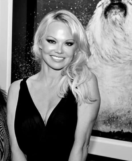 La actriz Pamela Anderson posó muy sensual con un clásico y sexy traje de baño color blanco
