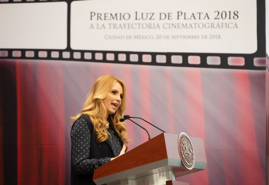 Angélica Rivera a Enrique Peña Nieto: "Te casaste con una actriz"