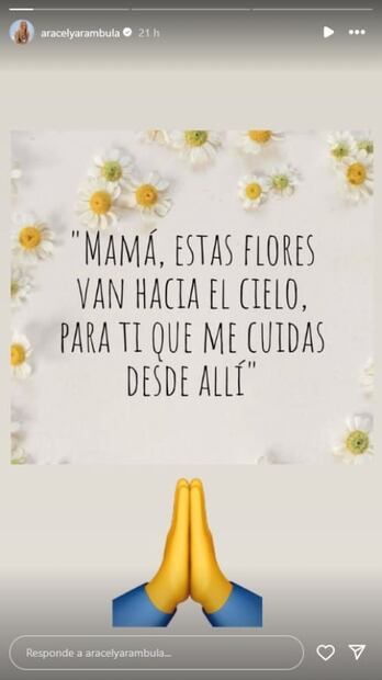 El mensaje de Aracely Arámbula tras fallecimiento de su mamá / Instagram