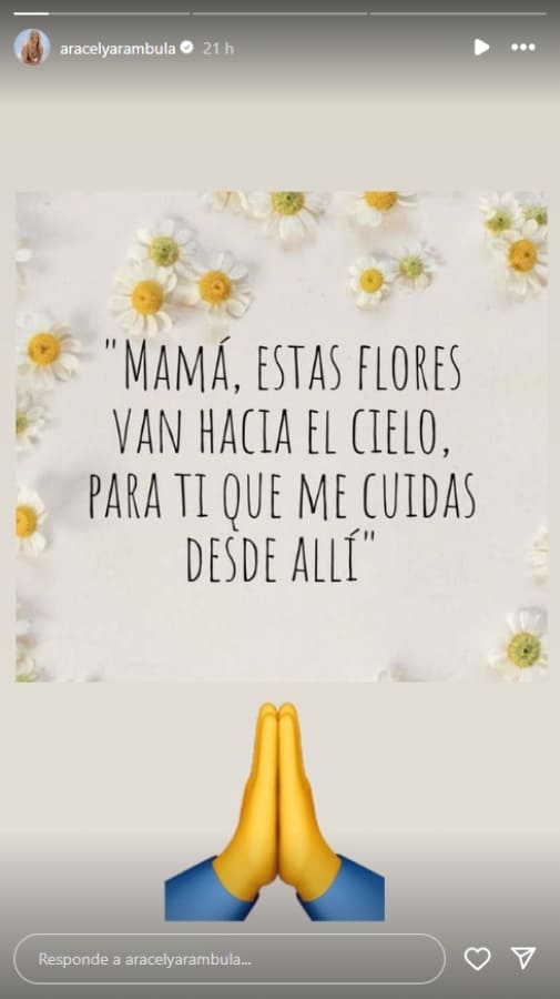 El mensaje de Aracely Arámbula tras fallecimiento de su mamá / Instagram