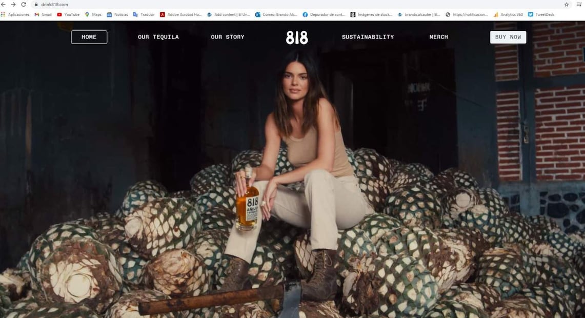 Comparan a Kendall Jenner con Angélica Rivera en "Destilando Amor"
