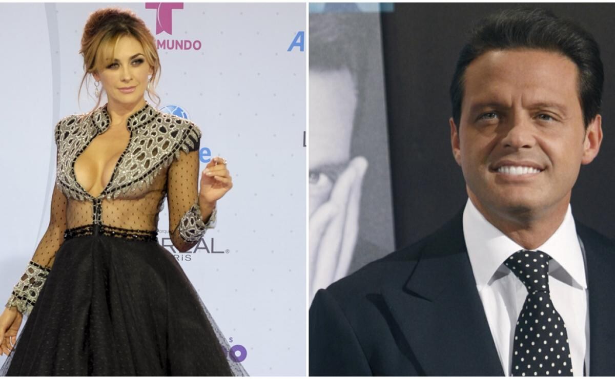 Aracely Arámbula revela detalles de su maternidad con Luis Miguel