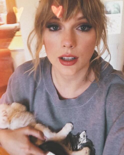 Taylor Swift asegura que estudió en una escuela de gatos