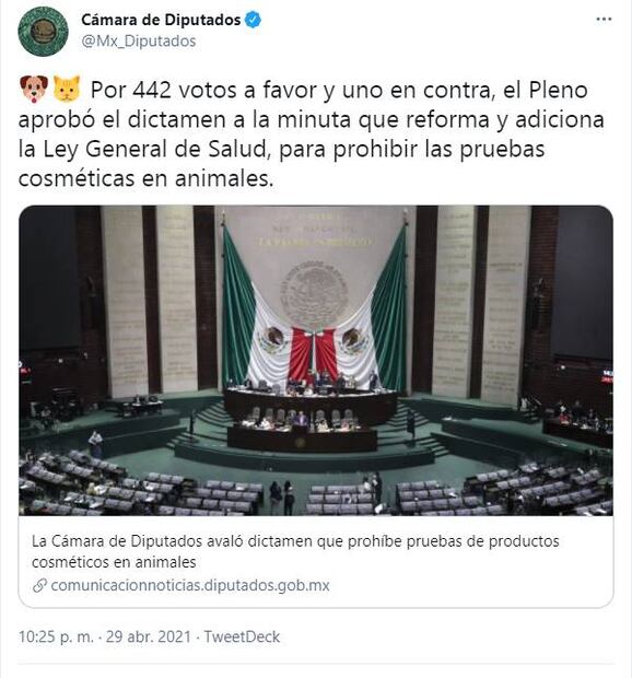 México prohíbe pruebas de productos cosméticos en animales ¡ganó el conejito Ralph!