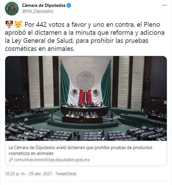 México prohíbe pruebas de productos cosméticos en animales ¡ganó el conejito Ralph!