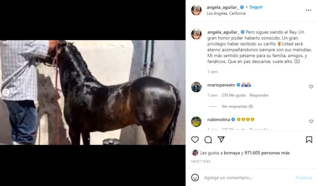 Ángela Aguilar: Este es el caballo que le regaló Vicente Fernández