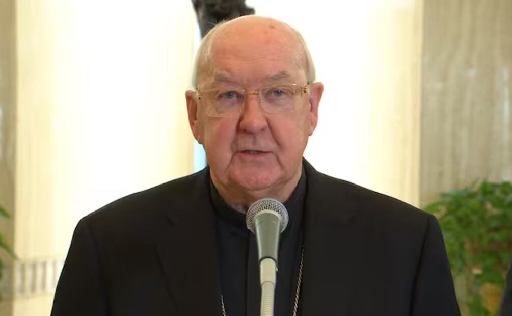 El cardenal  Kevin Farrell / Foto: EFE