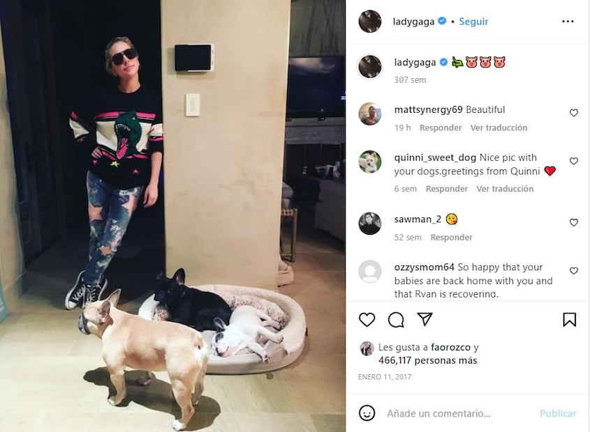 El hombre que robó a los perritos de Lady Gaga es condenado a 21 años de prisión