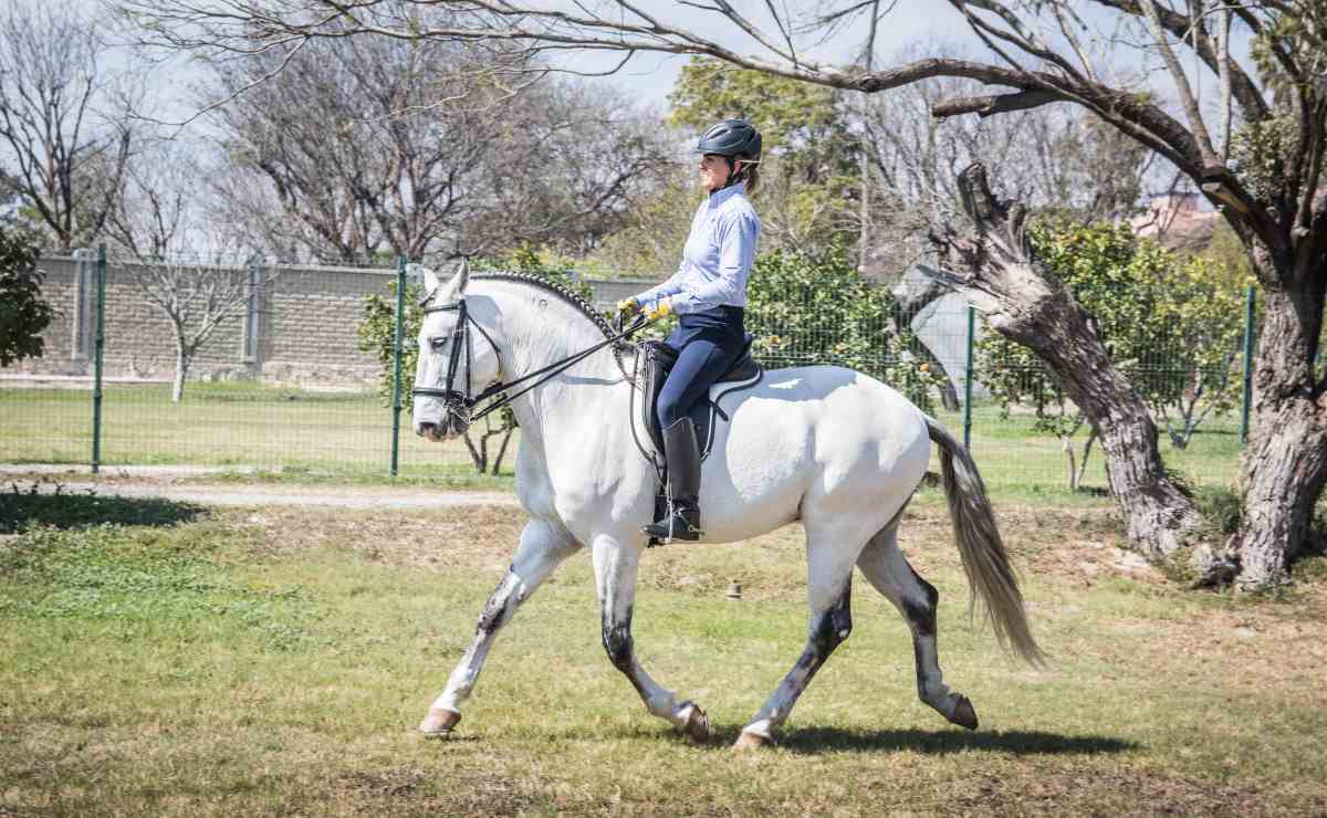 Alejandra “La Suki” Armendáriz quiere llevar el turismo ecuestre a otro nivel
