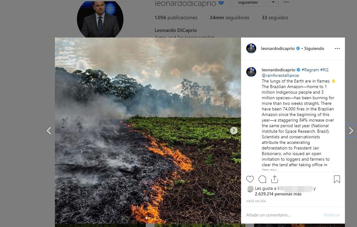 Leonardo DiCaprio y otros famosos que piden ayuda para el Amazonas... con fotos falsas