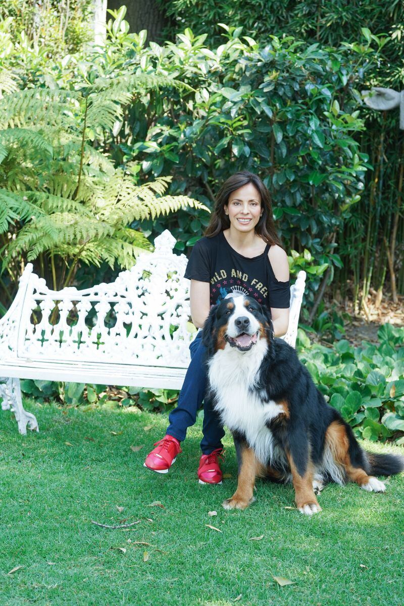 En el Día Mundial del perro te presentamos a los mejores amigos de personalidades como Adrian Niño de Rivera, Shahpary Pulido y Marlene de la Garza