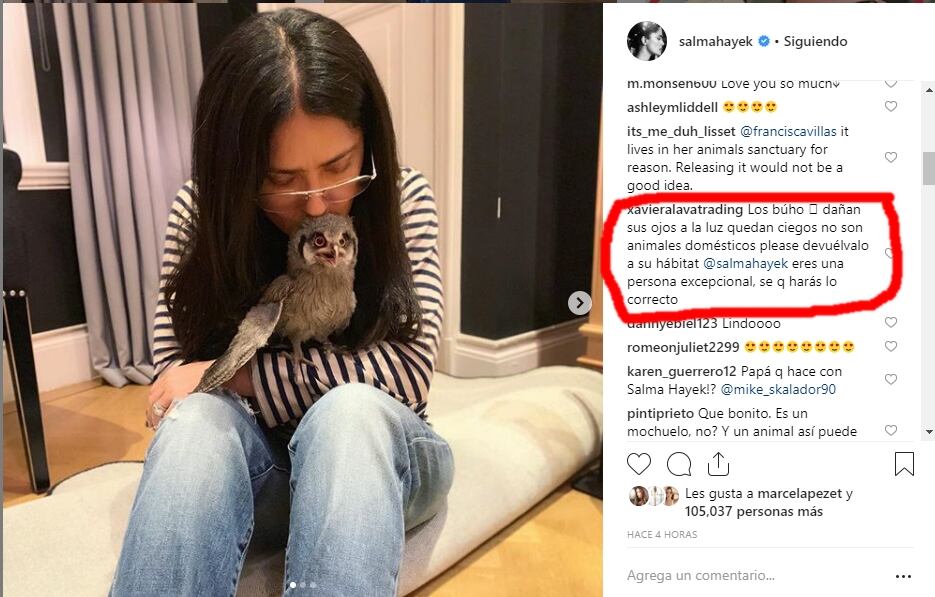 Por esta foto, ambientalistas acusan a Salma Hayek ¿Tienen razón? 