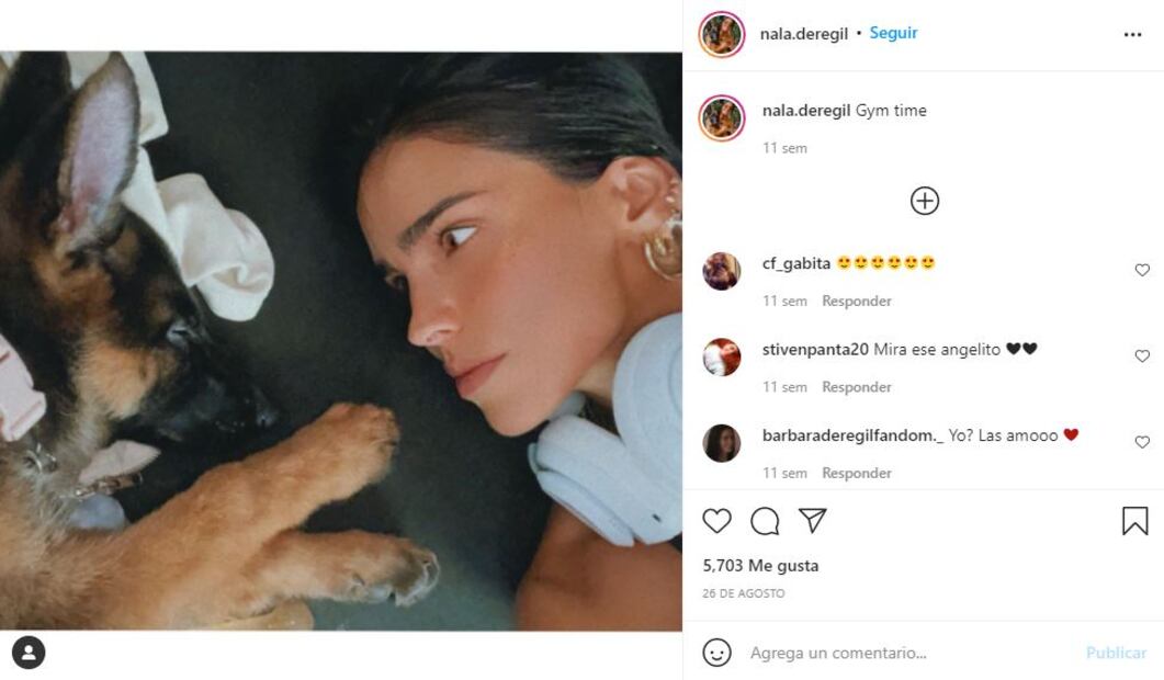Bárbara de Regil, entre lágrimas, revela que envenenaron a su perra