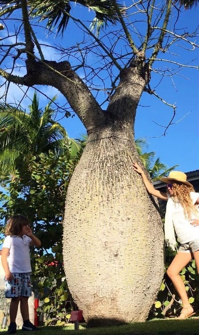 Así se ve Andrea Nicolás, hijo de Paulina Rubio, a sus 6 años