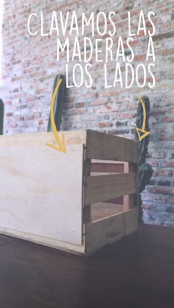 Cómo hacer una composta en casa según Yuya