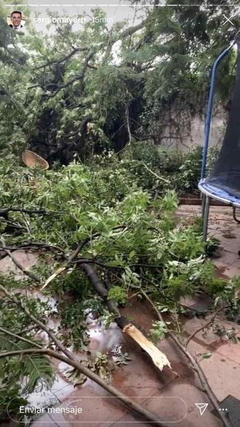 Cayó un árbol en casa de Sergio Mayer e Issabela Camil tras fuerte lluvia