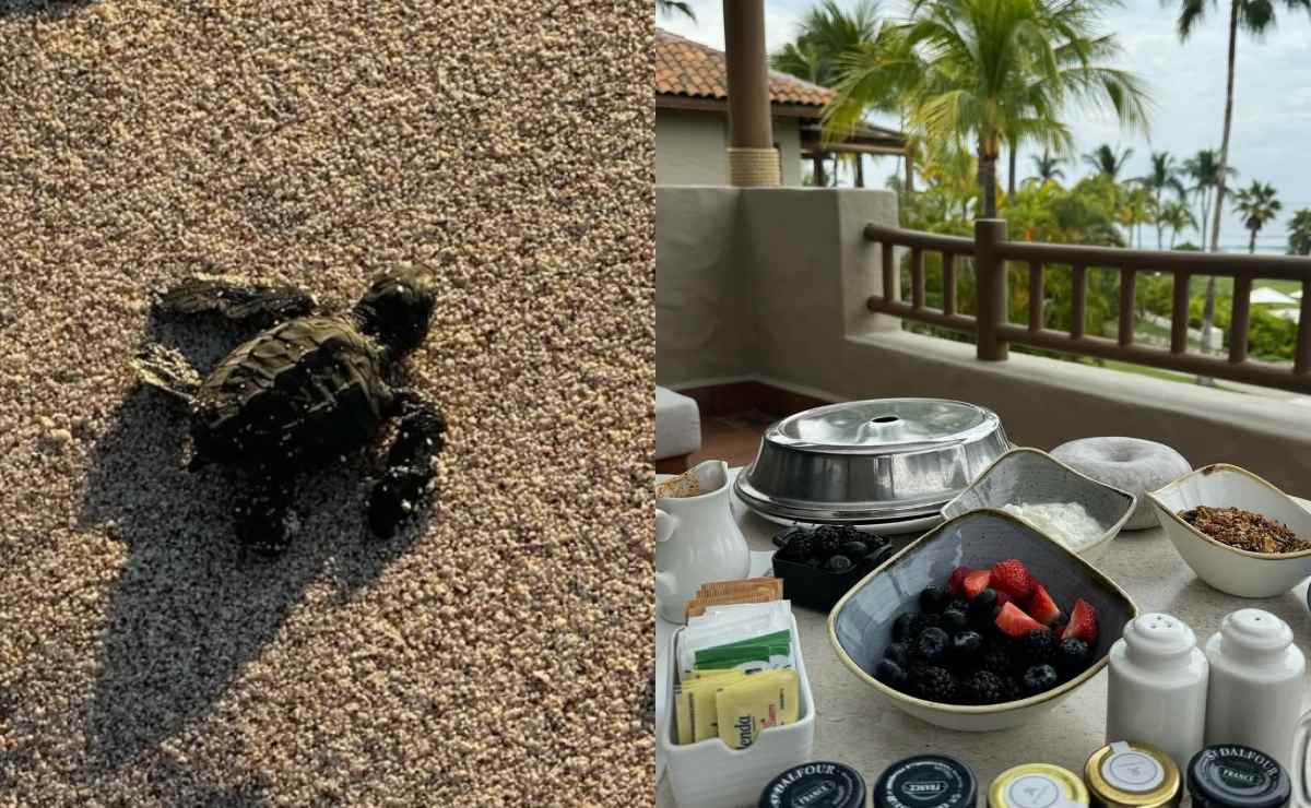 Las fotos del viaje de Eugenia Rodríguez y Tony Mils / Fotos: Instagram