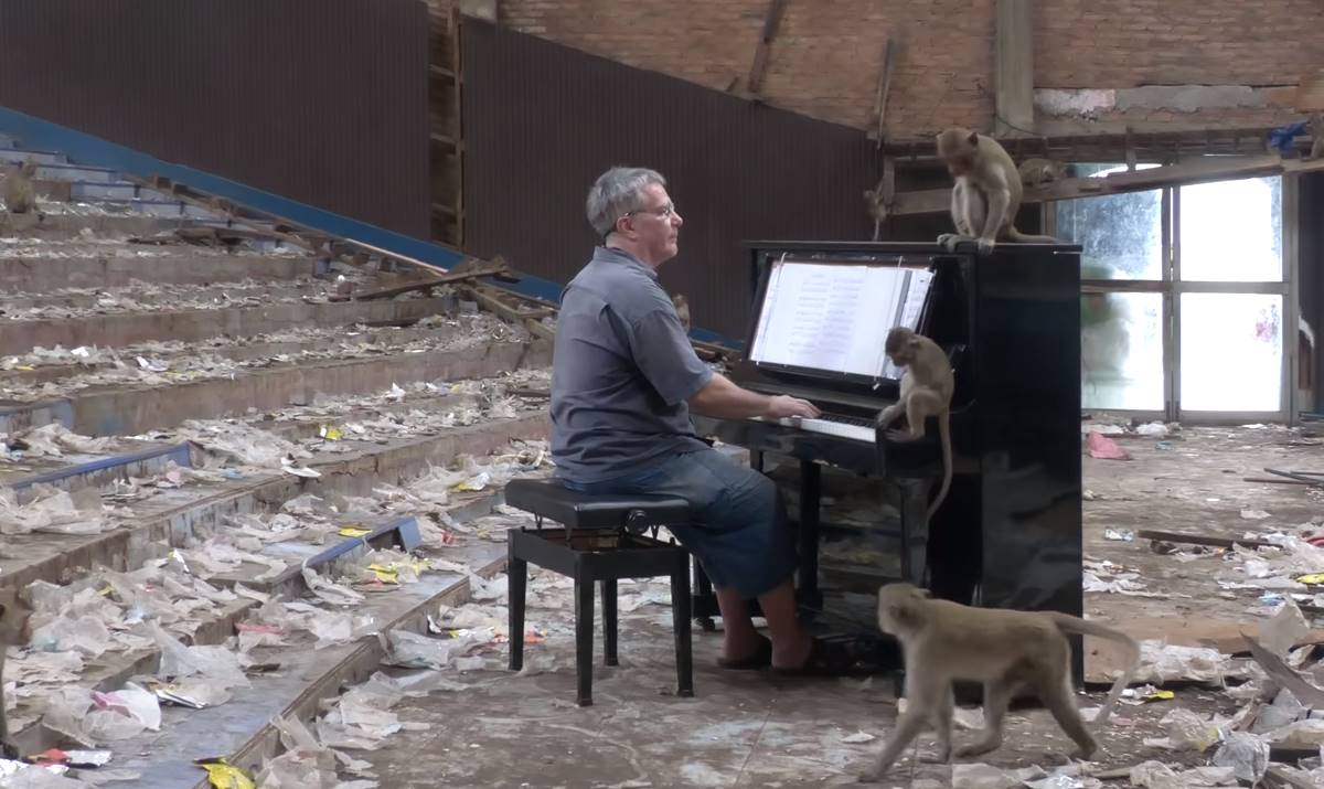 VIDEO: El pianista Paul Barton calma a monos hambrientos con su música