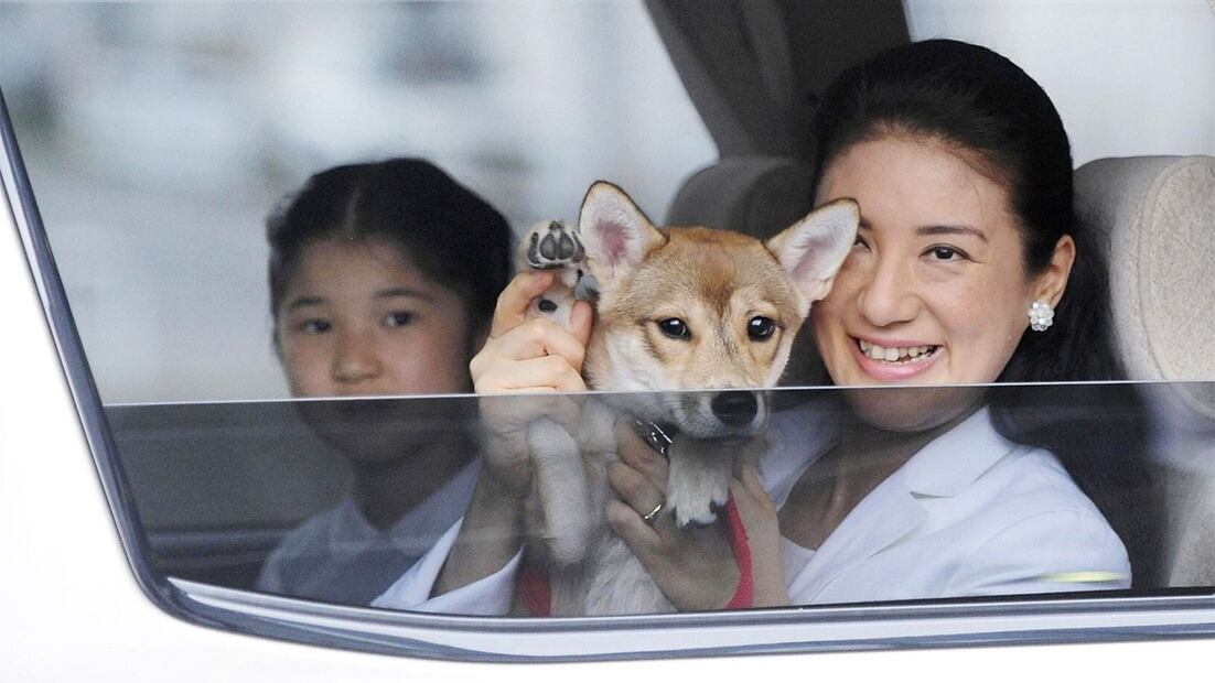 Yuri, el perro adoptado que aceptó la familia real de Japón