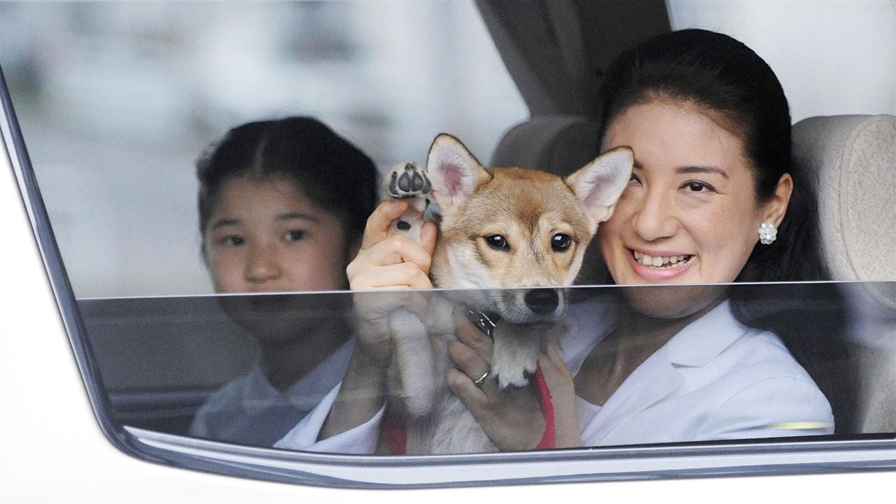 Yuri, el perro adoptado que aceptó la familia real de Japón