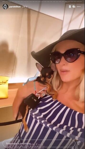 Paris Hilton consiente a su perro con un bolso Hermès de más de 100 mil pesos