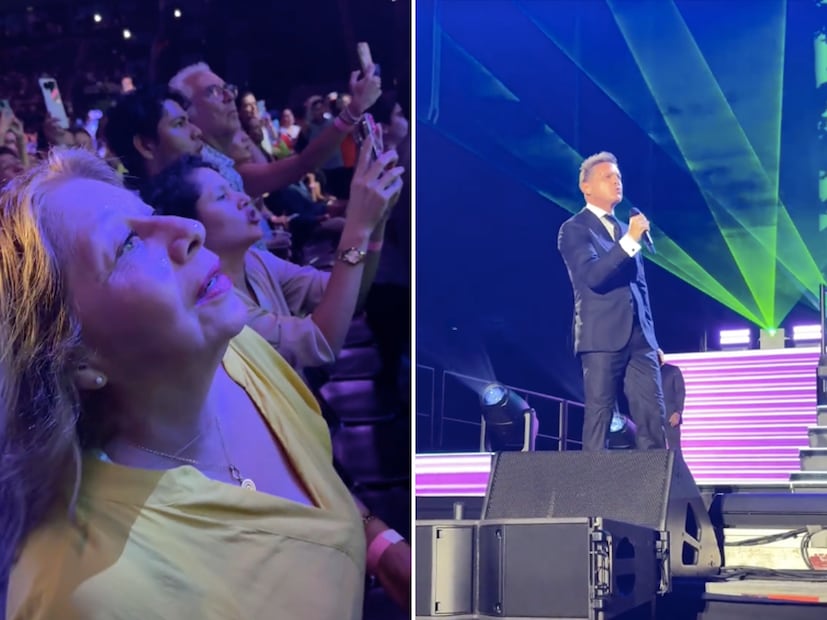 Fan en concierto de Luis Miguel / Fotos; TikTok