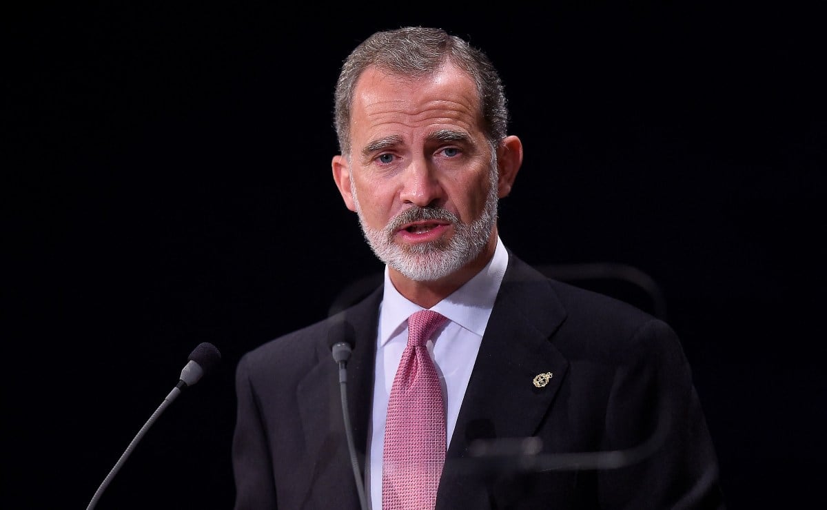Rey Felipe VI de España tiene un patrimonio de 2.5 millones de euros