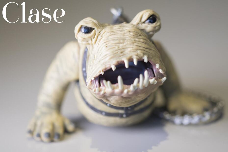 La colección de Daniel Schneeweiss