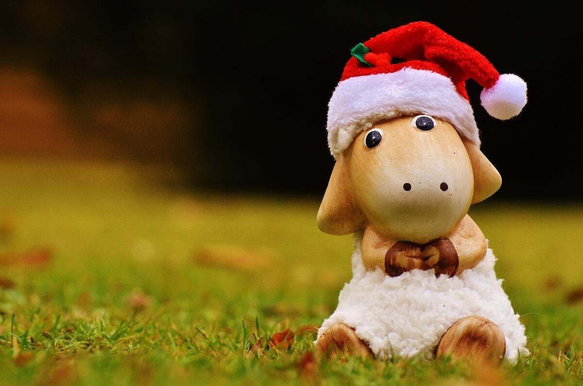 Rituales de Año Nuevo para la abundancia