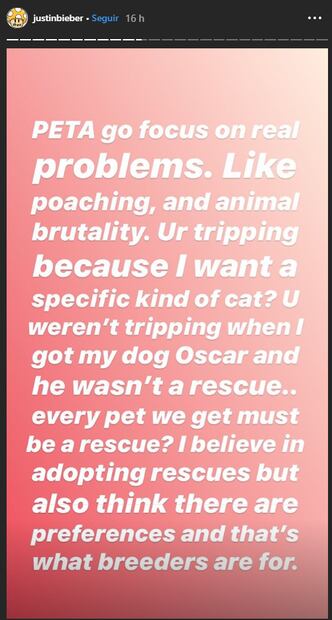 Justin Bieber es criticado por comprar gatos de 700 mil pesos