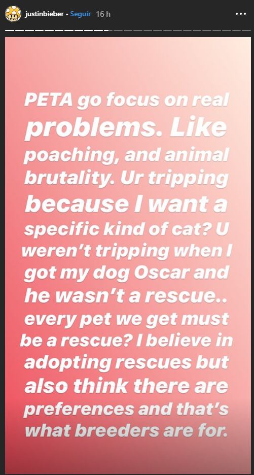 Justin Bieber es criticado por comprar gatos de 700 mil pesos