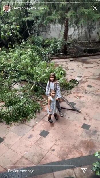 Cayó un árbol en casa de Sergio Mayer e Issabela Camil tras fuerte lluvia