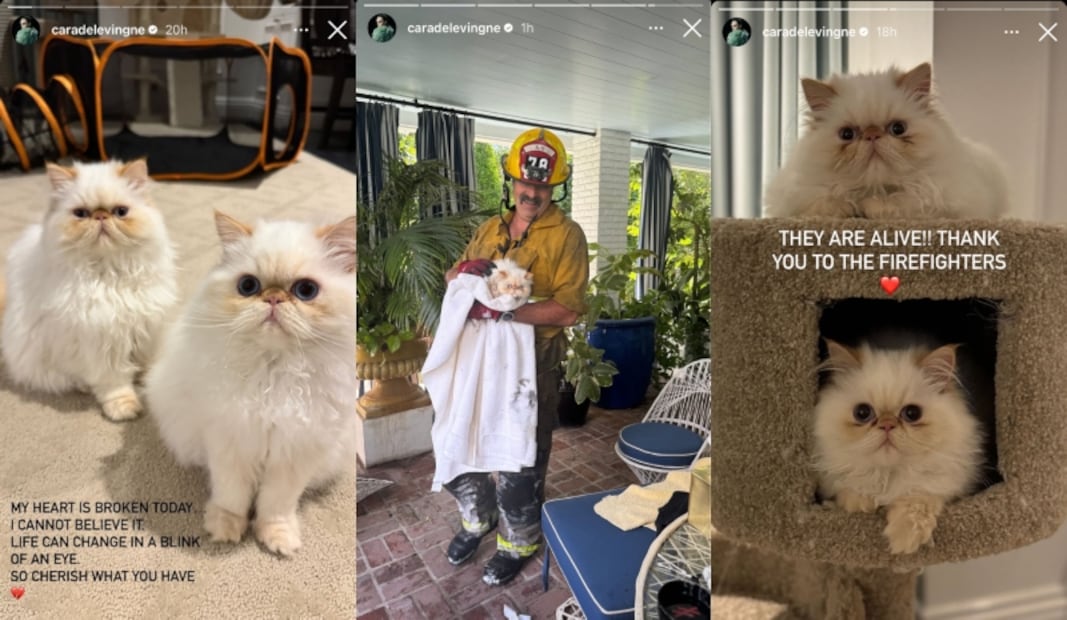 Cara Delevingne comparte el bienestar de sus mascotas/Instagram.