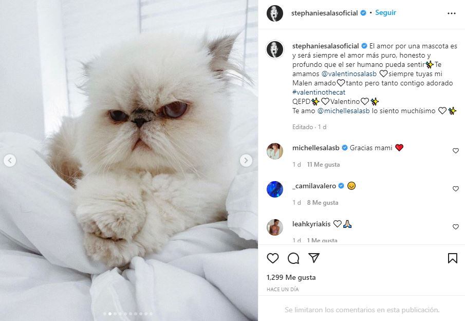 Michelle Salas está de luto: muere su gatito Valentino 