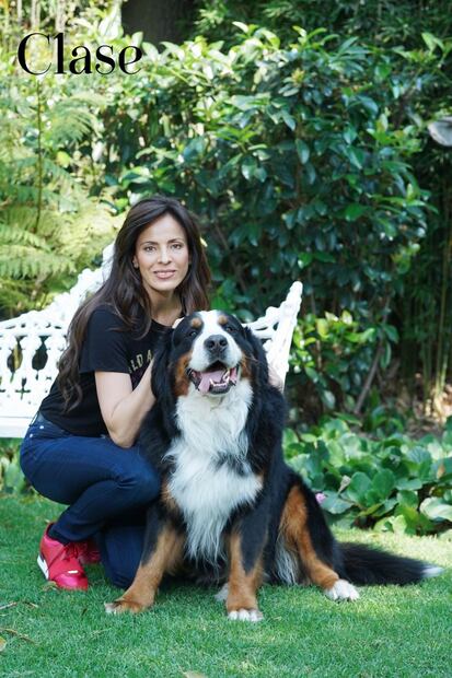 Claudia Estrada nos presenta a 'Joy', su Bernés de la montaña