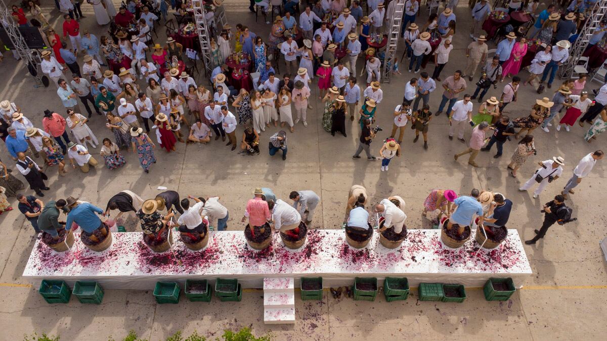La pisa de las uvas. (Foto: Edgar Silva Fuentes)