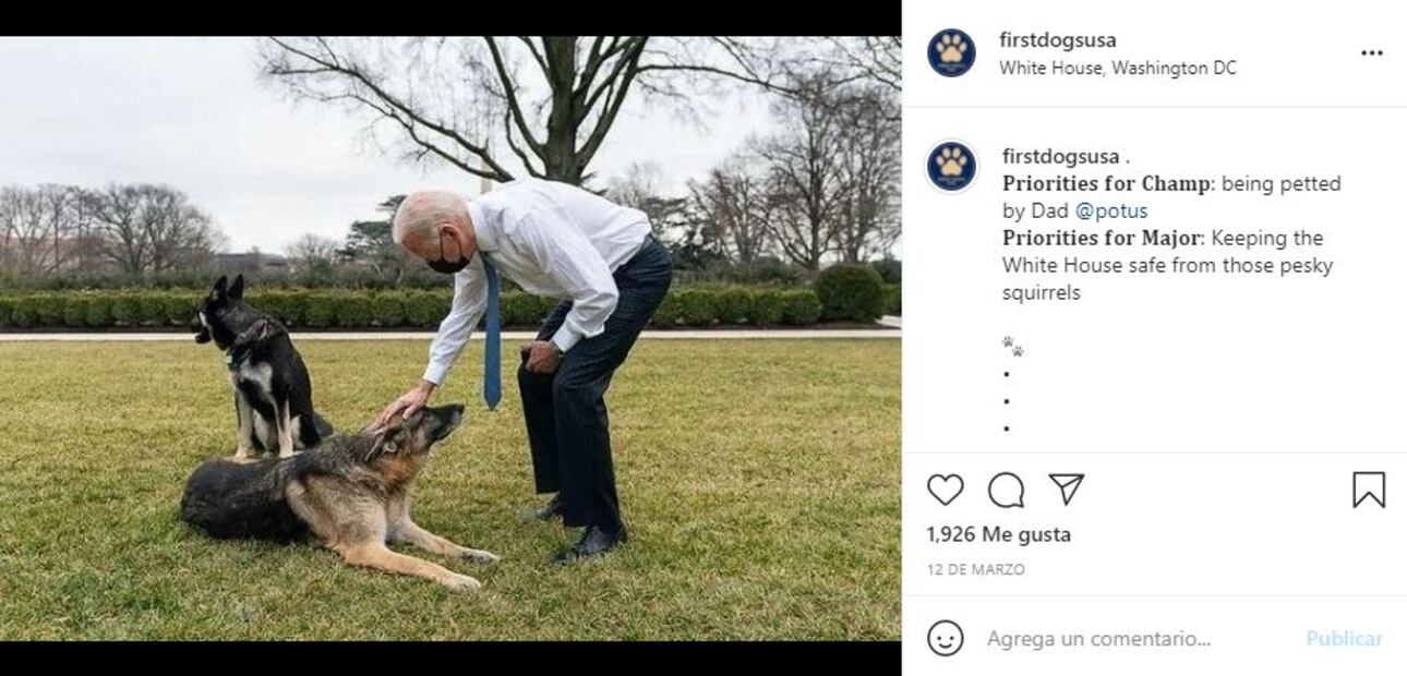 Joe Biden y su esposa Jill dedican conmovedora carta a "Champ", su perro