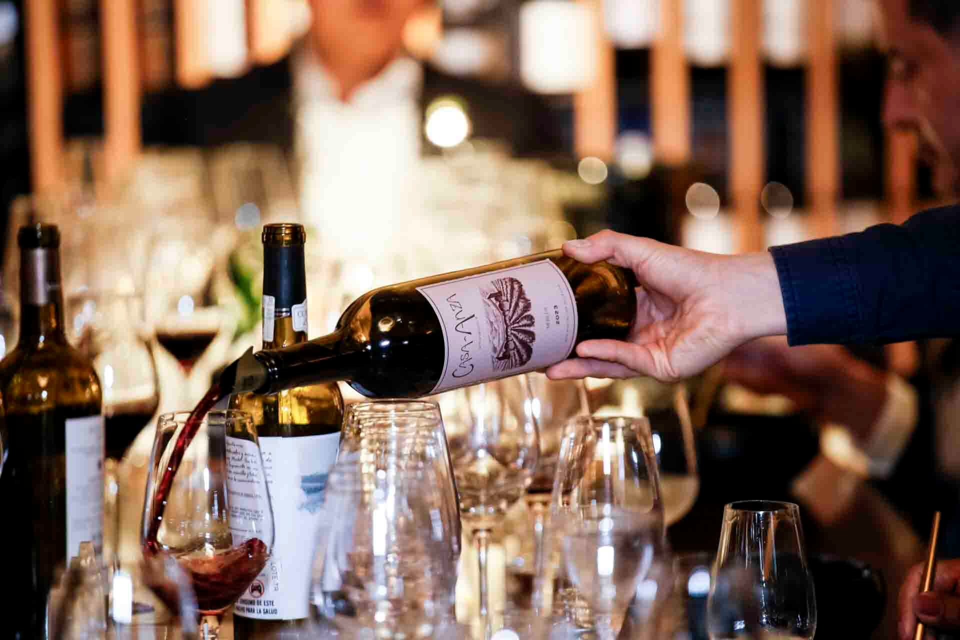 El Merlot de Casa Anza. (Foto: Esteban Torreblanca)