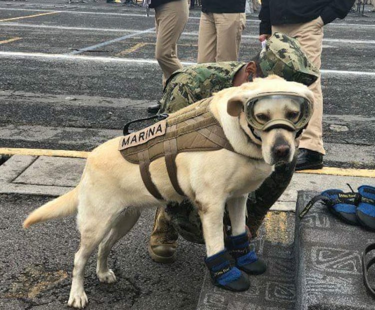 Frida, la heroína que salvó a más de 50 personas