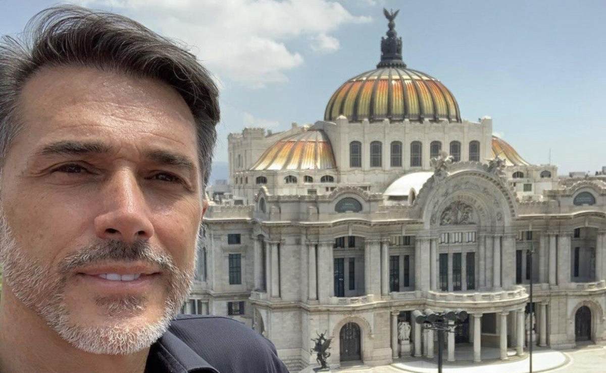 Cayó un árbol en casa de Sergio Mayer e Issabela Camil tras fuerte lluvia