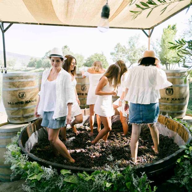 5 fiestas de la vendimia imperdibles para amantes del vino
